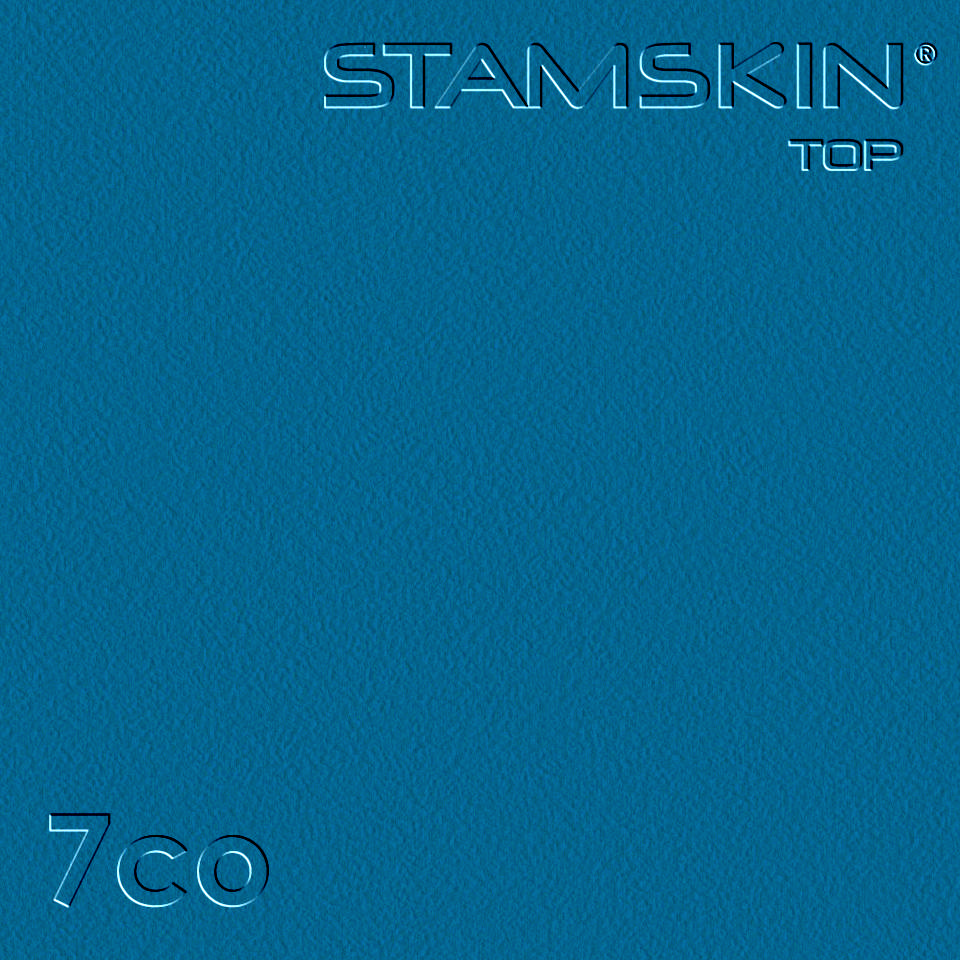 Vinyl Stamskin Top blue