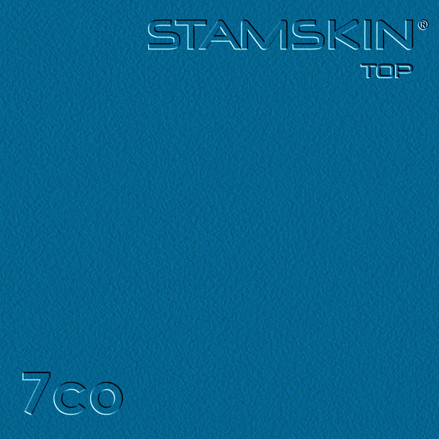 Vinyl Stamskin Top blue