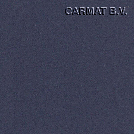 Vinyl Fiat Scudo/Peugeot Expert anthracite '04 side