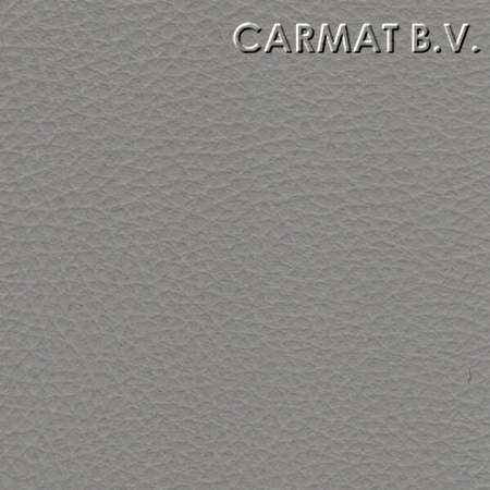 Vinyl Opel Vivaro/Opel Movano/Renault Trafic grey '06