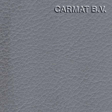 Vinyl Ford Transit grey '06