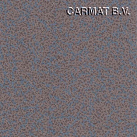 Vinyl Renault Master/Mascott grey '97 side