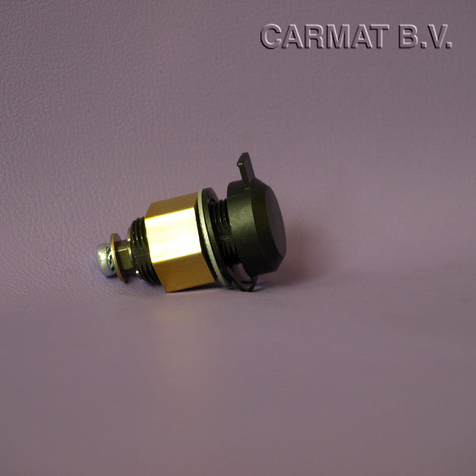 Compartment lock w/ tongue w/ dust cap/Locking angle 180 dg