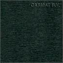 Velvet carpet Mercedes w/ foam Green