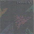 Fabric Citroen Jumper/Jumpy/Berlingo model 2002 Filler Grey