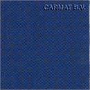 Fabric Volkswagen Multivan T5 model 2003 Blue