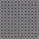 Fabric Mercedes Viano model 2005 beige