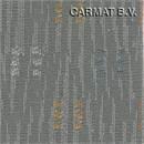 Fabric Fiat Scudo model 2006 Bolster Grey Panorama Family