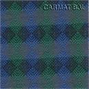 Fabric Fiat Scudo model 1995-2002 Blue/Green/Grey