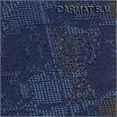 Fabric Peugeot Boxer/Expert/Partner model 1998 Blue