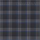 Fabric Volkswagen Golf GTI tartan blue