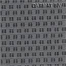 Fabric Mercedes Sprinter Model 2006 Combi Grey