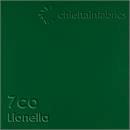 Vinyl Chieftain Lionella winter green