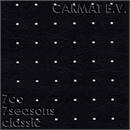 Vinyl 7co 7x black perforated