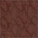 Vinyl 7co snake brown