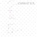 Headliner vinyl Perforated White