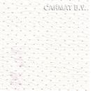 Headliner vinyl perforated offwhite