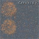 Vloer Gerflor Tarabus Nova Pythagoras op bestel. per/24X2m