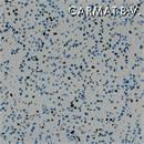 Vloer Gerflor Tarabus Jupiter Adraste Blau best per/24X2m