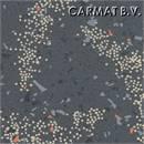 Vloer Gerflor Tarabus Luna Singapore op bestelling per/24X2m