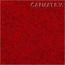 Vloer Gerflor Tarabus Sirius Rubis op best. per/24x2m