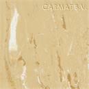 Gerflor Streamo Seacrosser 1035 Ocre