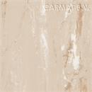 Gerflor Streamo Seacrosser 1004 Earth