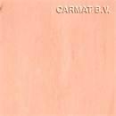 Gerflor Streamo Mariner 0004 Clay