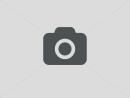 Stopknop wand grijs knop groen stop wit braille per/10ST