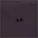 Ventilator spare part brushes